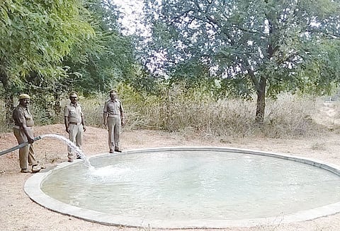 வனப்பகுதியில் விலங்குகளின் தாகம் தீர்க்க குடிநீர் தொட்டிகள்