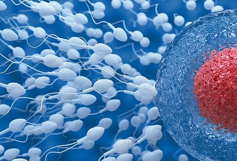 ஜோதிடத்தில் மருத்துவம் : மனிதனை உருவாக்கும் கிரகங்கள்