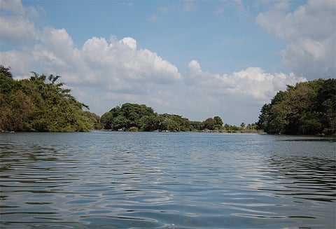 தமிழகத்திற்கான தண்ணீரின் அளவை குறைத்தது ஏமாற்றம் அளிக்கிறது அரசியல் கட்சி தலைவர்கள் கருத்து