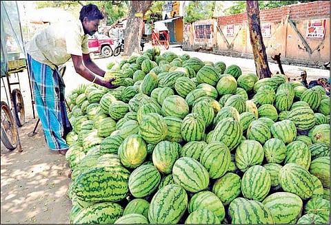 பழனியில் வாட்டி வதைக்கும் வெயில்: இளநீர், தர்பூசணி பழ விற்பனை அமோகம்