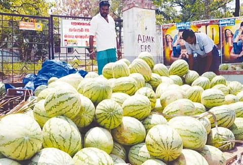 கோடை காலம் தொடங்கியதையடுத்து தர்பூசணி, வெள்ளரி வரத்து அதிகரிப்பு