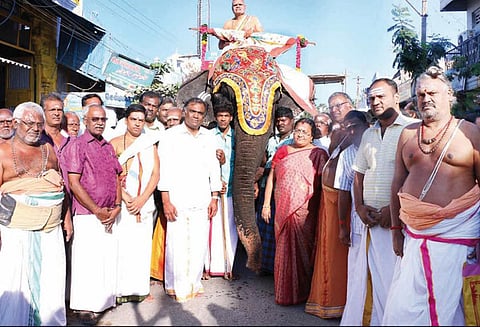 திருச்செந்தூரில், யானை மீது கொடிப்பட்டம் வீதி உலா