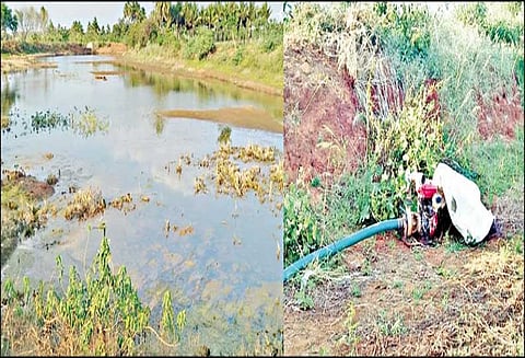 சின்னமனூர் அருகே குளத்தில் தண்ணீர் திருட்டு