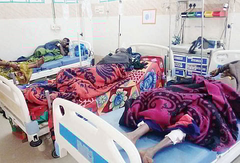 வெறிநாய் கடித்து 10 பேர் காயம்