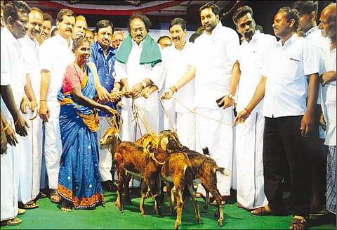 அரசியலில் யாரும் உடனடியாக ஜொலிக்க முடியாது - நடிகர் ராமராஜன் பேச்சு