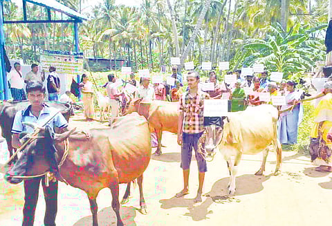 ‘சேலம் 8 வழி பசுமை சாலை வரக்கூடாது’ அம்மன் கோவிலில் மனு கொடுத்து விவசாயிகள் நூதன வழிபாடு