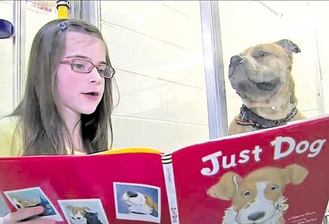 நாய்களுக்கு சிறப்பு வகுப்பு