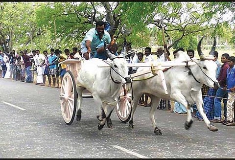 கால்நடைகளுக்கு சிசிச்சை அளிக்க நடமாடும் மருத்துவமனை அமைச்சர் உடுமலை கே.ராதாகிருஷ்ணன் தகவல்