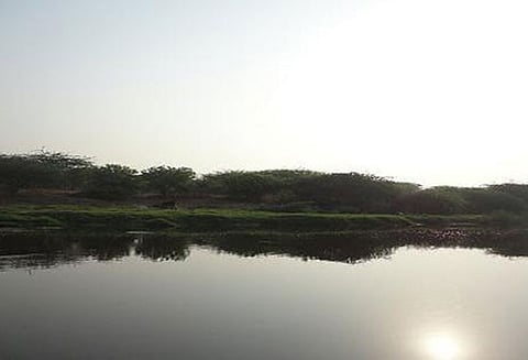 நொய்யல் ஆற்றை தூய்மைப்படுத்த ரூ.150 கோடி ஒதுக்கீடு - தொழில்துறையினர் வரவேற்பு