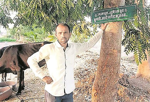 பிறந்தநாள் ‘மரங்கள்’