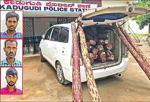 ஆந்திராவில் இருந்து பெங்களூருவுக்கு காரில், செம்மரக்கட்டைகள் கடத்தல்