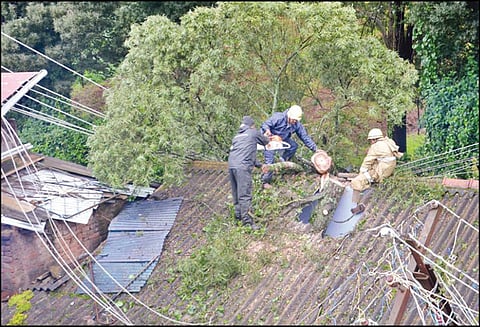 தொடர் மழையால் ஊட்டியில் மரம் விழுந்து 3 வீடுகள் சேதம்