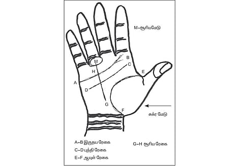 கைரேகை அற்புதங்கள் : கல்வியும்.. தொழிலும்..