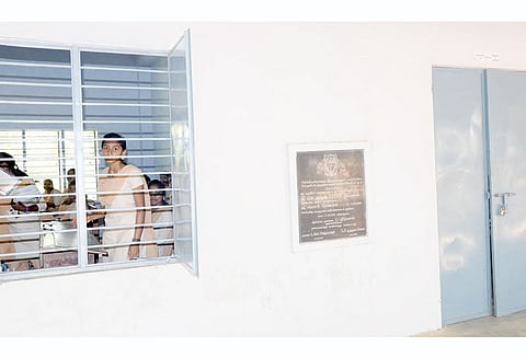 காட்டுப் பூனையால் பரபரப்பு; அச்சத்தில் வகுப்பறைகளை பூட்டி பாடம் நடத்திய பேராசிரியர்கள்