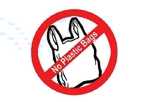 பிளாஸ்டிக் பயன்பாடு இல்லை என ‘போர்டு’ வைக்க வேண்டும் - உணவு பாதுகாப்புத்துறை அதிகாரி தகவல்