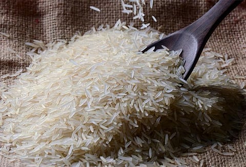 இந்திய பாஸ்மதி அரிசி ஏற்றுமதிக்கு மேலும் சிக்கல் ; ஐரோப்பிய யூனியனையடுத்து சவுதி அரேபியா நடவடிக்கை