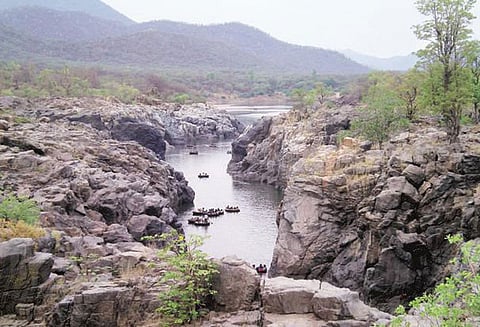 காவிரி மேலாண்மை ஆணையம் அமைப்பதற்கான மத்திய அரசிதழின் நகல் இணையதளத்தில் வெளியீடு