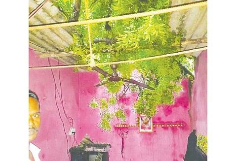 வேப்பனப்பள்ளியில் சூறைக்காற்றுடன் மழை வீட்டின்மீது மரம் விழுந்ததில் 4 பேர் காயம்