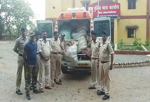 சத்தீஷ்கர்: ஆம்புலன்ஸ் வாகனத்தில் கஞ்சா கடத்தல்..!