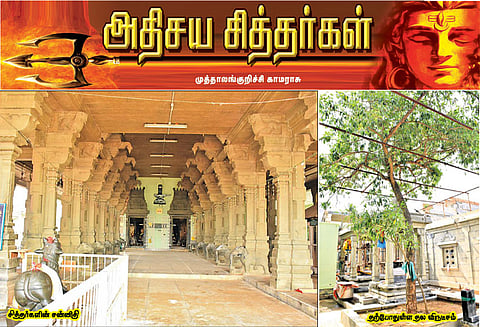 பட்டுப்போன மரத்தை தளிர்விடச் செய்த சித்தர்கள்