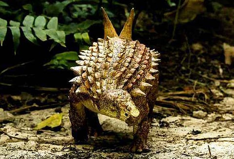 85 கோடி ஆண்டுகளுக்கு முன்னர் வாழ்ந்த டைனோசர் படிமங்கள் கண்டு பிடிப்பு