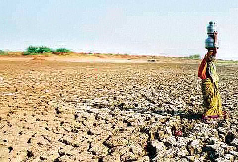 இந்தியா கடுமையான தண்ணீர் பஞ்சத்தை எதிர்கொண்டுள்ளது: நிதி ஆயோக் தகவல்
