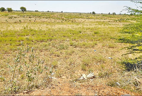 மேட்டூர் அணையில் இருந்து தண்ணீர் திறக்க வேண்டும் - விவசாயிகள் வலியுறுத்தல்