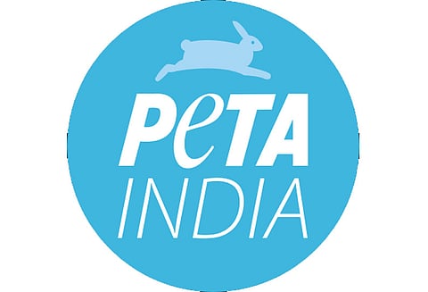 காசநோய் கண்ட யானைகளை சவாரிக்கு பயன்படுத்த தடை விதிக்க வேண்டும்; பீட்டா அமைப்பு கோரிக்கை