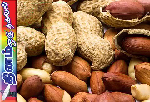 தினம் ஒரு தகவல் : அதிக சத்துள்ளது வேர்க்கடலை