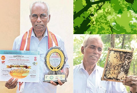 தேனீக்கள் கொட்டிக் கொடுக்கும் பணம்!