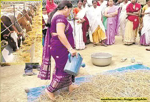 பெண்களுக்கான வேலை வாய்ப்பு : வைக்கோலை ஊட்டமேற்றினால் பலன் அதிகம்!