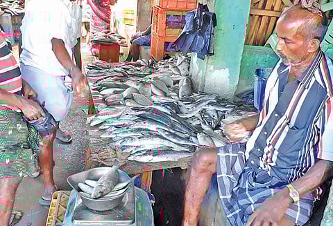 திசையன்விளை மார்க்கெட்டில் மீன்கள் விலை கடும் வீழ்ச்சி சீலா ரகம் கிலோ ரூ.200 முதல் ரூ.400–க்கு விற்பனை