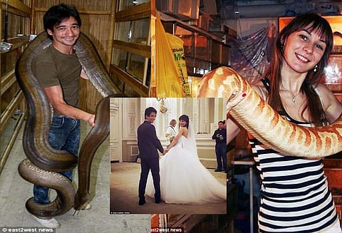 காதலி பிரிந்த சோகத்தில் உலகின் அபாயகரமான பாம்பை கடிக்க விட்டு உயிர்விட்ட காதலன்