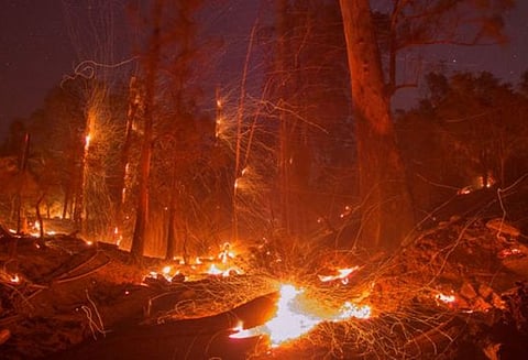 குரங்கணி காட்டுத்தீ: சிகிச்சை பெறும் 15 பேரில் 4 பேருக்கு 90%, 5 பேருக்கு 70% தீக்காயம்; மீட்பு பணிகள் நிறைவு