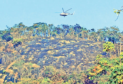 குரங்கணி தீ விபத்து குறித்து விசாரணைக்கு அரசு உத்தரவு