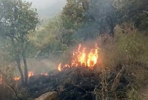 குரங்கணி காட்டுத்தீயில் உயிரிழப்பு 11 ஆக அதிகரிப்பு