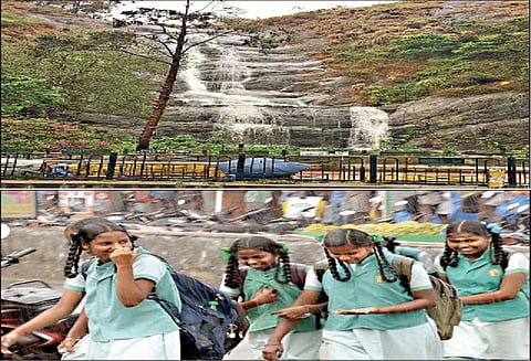 திண்டுக்கல் மாவட்டத்தில் பரவலாக சாரல் மழை