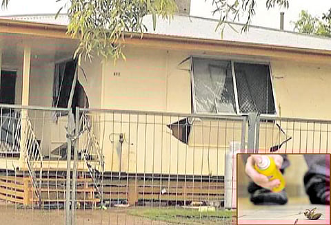 கரப்பான் பூச்சிக்கு பயந்து வீட்டை கொளுத்தியவர்