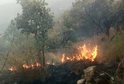 குரங்கணி காட்டுத்தீ விபத்தில் பலி எண்ணிக்கை 17 ஆக உயர்வு