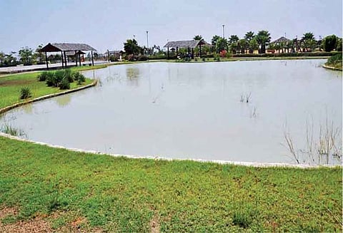 கடும் வறட்சியிலும் நீர் நிரம்பியுள்ள மரபணு பூங்கா குளங்களால் மக்கள் மகிழ்ச்சி