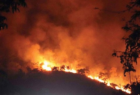 குரங்கணி காட்டுத்தீ விபத்தில் உயிரிழந்தோர் எண்ணிக்கை 20 ஆக அதிகரிப்பு