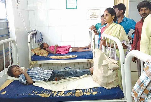 தேன்கனிக்கோட்டையில் 30 பேரை கடித்து குதறிய வெறி நாய்