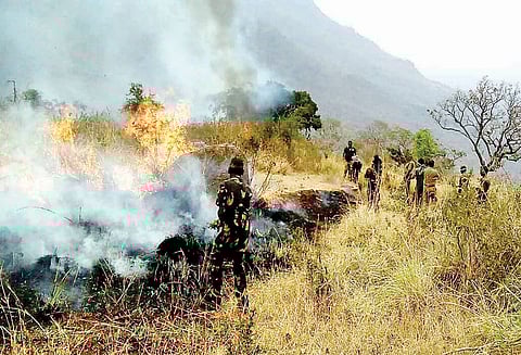 பைக்காரா, சிங்காரா வனப்பகுதியில் திடீர் தீ விபத்து