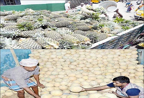 திருச்சிக்கு அன்னாசி, முலாம் பழம் வரத்து அதிகரிப்பு