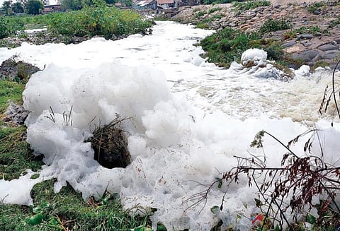 திருப்பூரில் நொய்யல் ஆற்றில் நுரையுடன் பாய்ந்த மழைநீர்