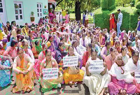 பணி நிரந்தரம் செய்யக்கோரி தோட்டக்கலை துறை தினக்கூலி பணியாளர்கள் போராட்டம்