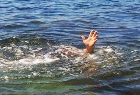 ஒரத்தநாடு அருகே பரிதாபம்: பள்ளத்தில் தவறி விழுந்து தண்ணீரில் மூழ்கி அக்கா-தம்பி பலி