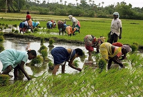 விவசாயிகளுக்கு மண்வள அட்டை சிபாரிசு அடிப்படையிலேயே உரம் விற்பனை