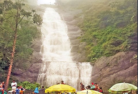 மாவட்டம் முழுவதும் பரவலாக சாரல் மழை: மரங்கள் விழுந்ததால் கொடைக்கானலில் மின்சாரம் துண்டிப்பு