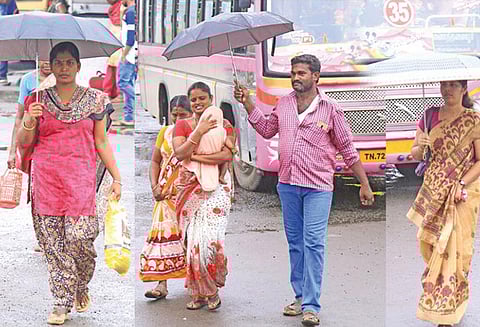 நெல்லை மாவட்டத்தில் பரவலாக மழை அணைகளின் நீர்மட்டம் உயர்வு